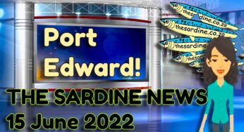 Sardines caught off Port Edward!