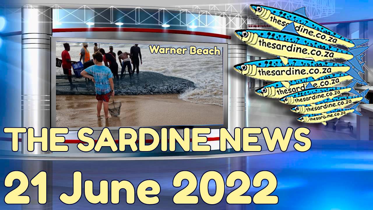 Sardine Update 21 June 2022