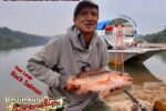 Sean Lange releases all his rockies too. Caught in grunter alley...