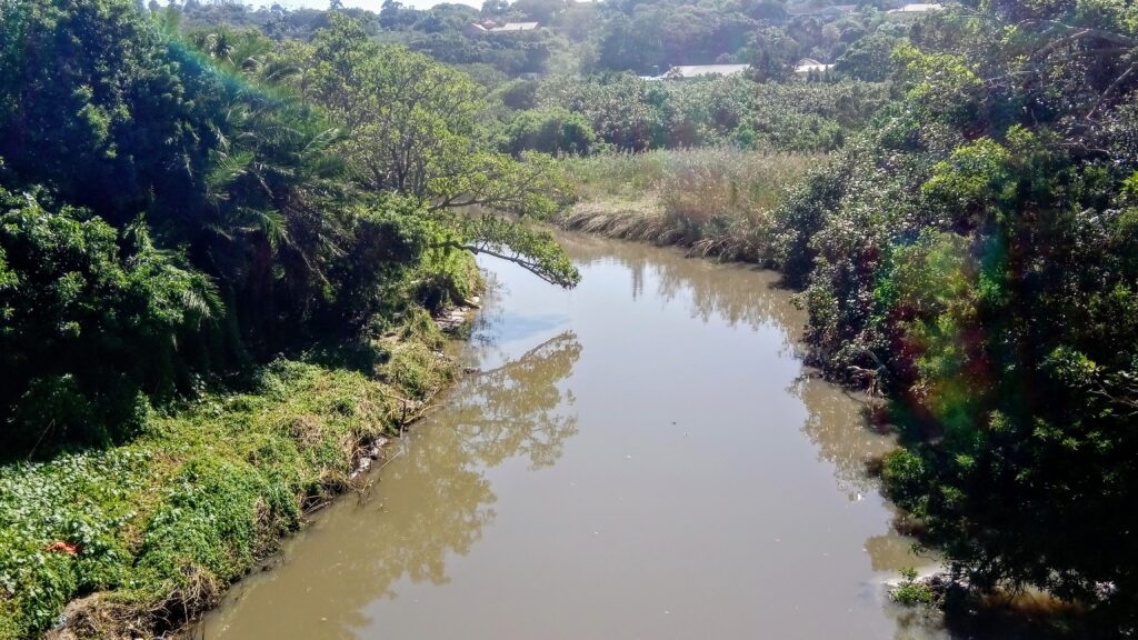 Floaters-in-the-Margate-River-estuary