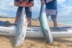 Kayak couta spread coming soon...