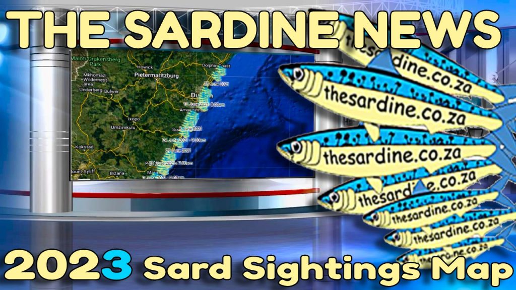Sardine Run 2023 Sightings Map