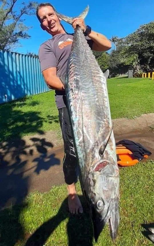 Big north coast couta are a pre-cursor to any sardine run