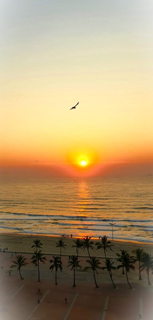 Durban beachfront sunrise by Adam Kamdar revealing perfect sardine conditions