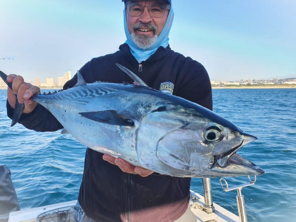 Bonito for bait for those big fish off Durban