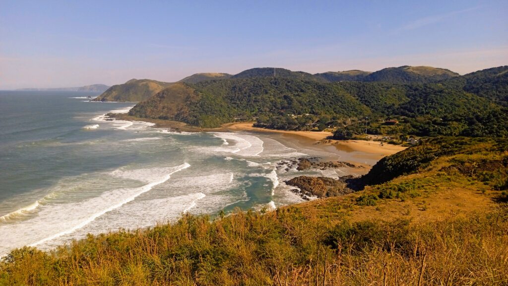 sharks-and-sound-at-port-st-johns-second-beach-the-sardine-news