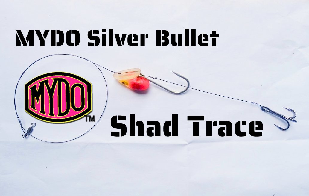 MYDO Silver Bullet Shad Trace