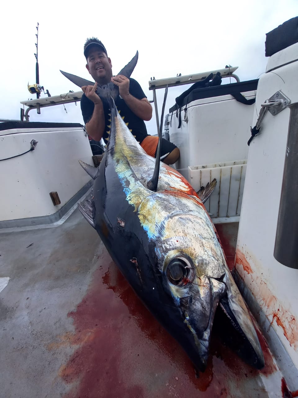 Southern Bluefin Tuna caught on MYDO Bluefin Bomber by Marc White off St. Frances South Africa