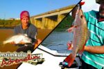 Best two estuary baits for the Umzimkulu River