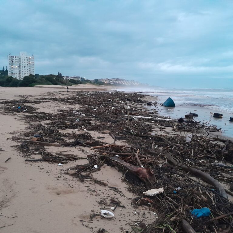 Margate FLASH FLOOD! With VIDEO The Sardine News