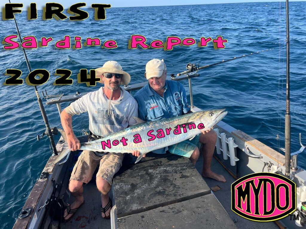 First Sardines Report of the Season Team MYDO 2024