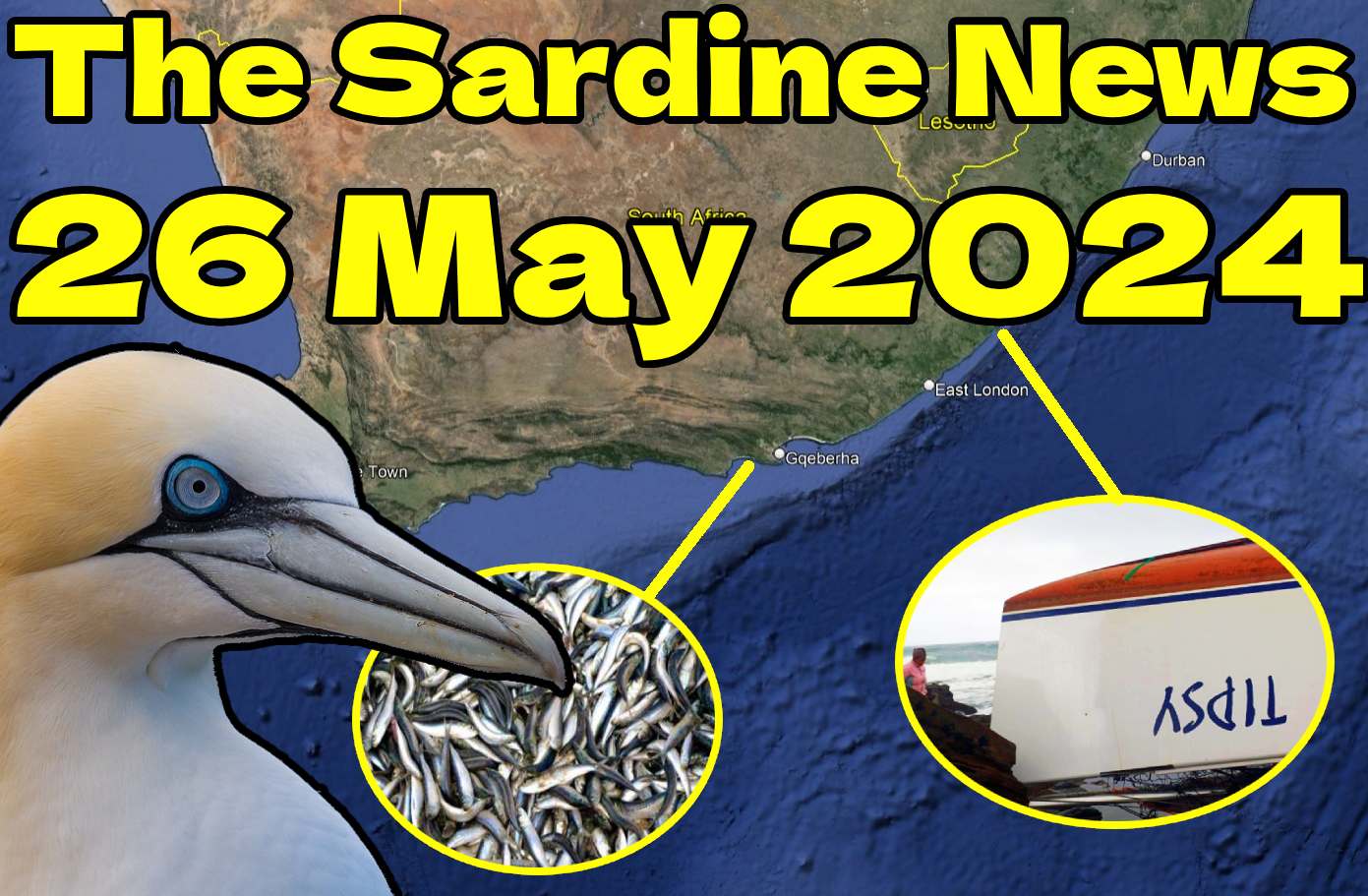 Sardine News 26 May: yacht aground at Mdumbi, warm water, beached ...