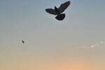 Durban Beachfront on Fathers Day Sea Conditions Report 1