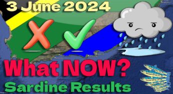 Sardine Results – what now? 3 June 2024 Report by Kevin in Qora