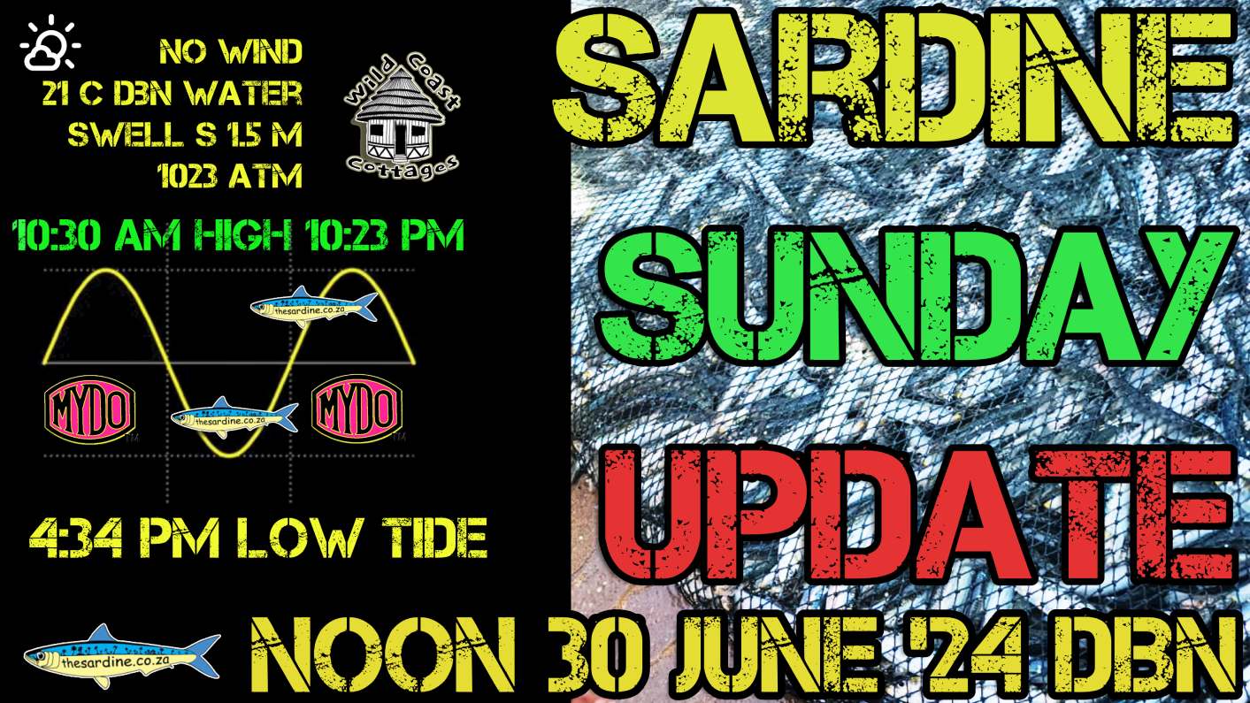 Sardine News Update