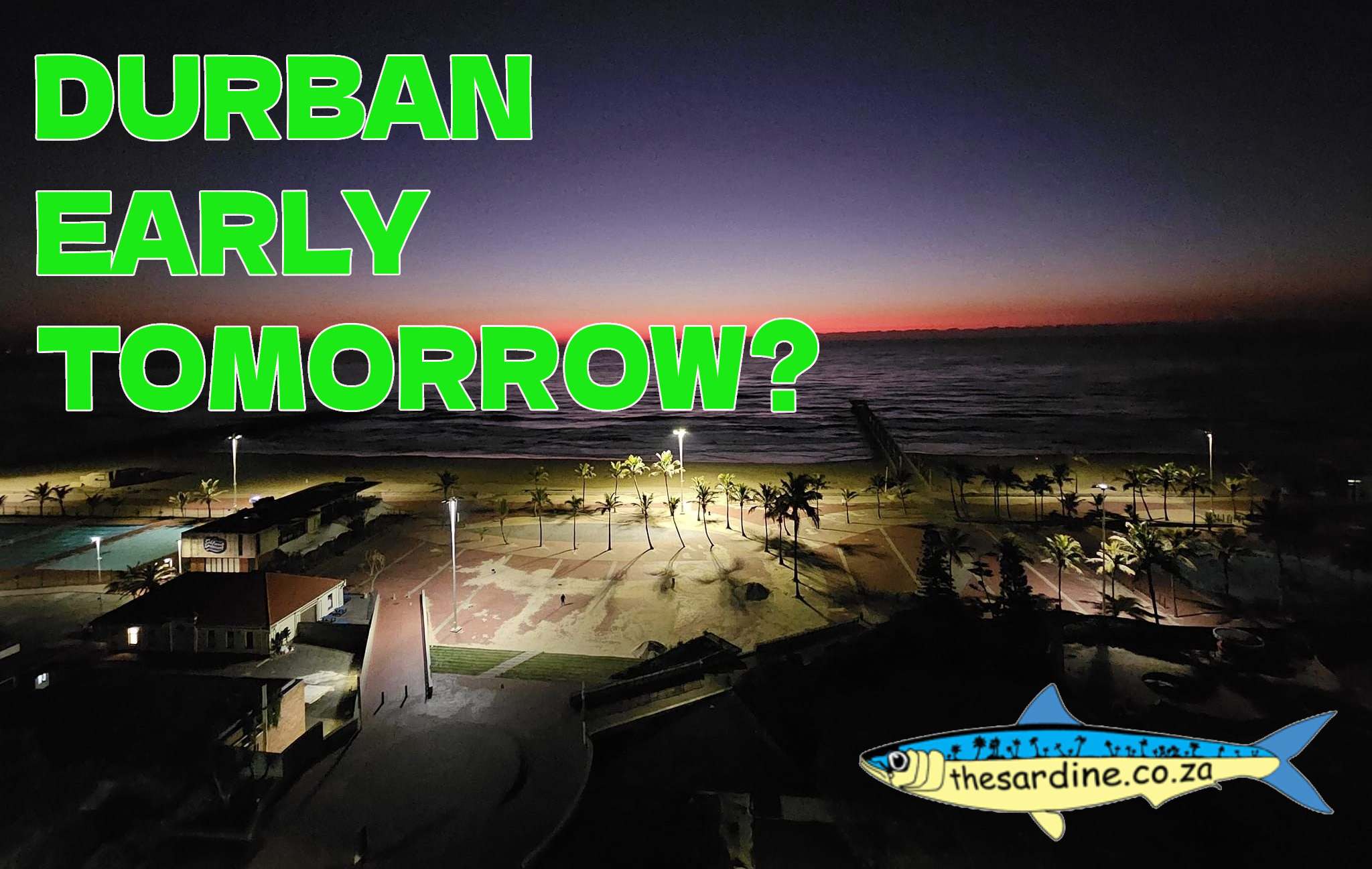 Sardines in Durban Tomorrow? - The Sardine News
