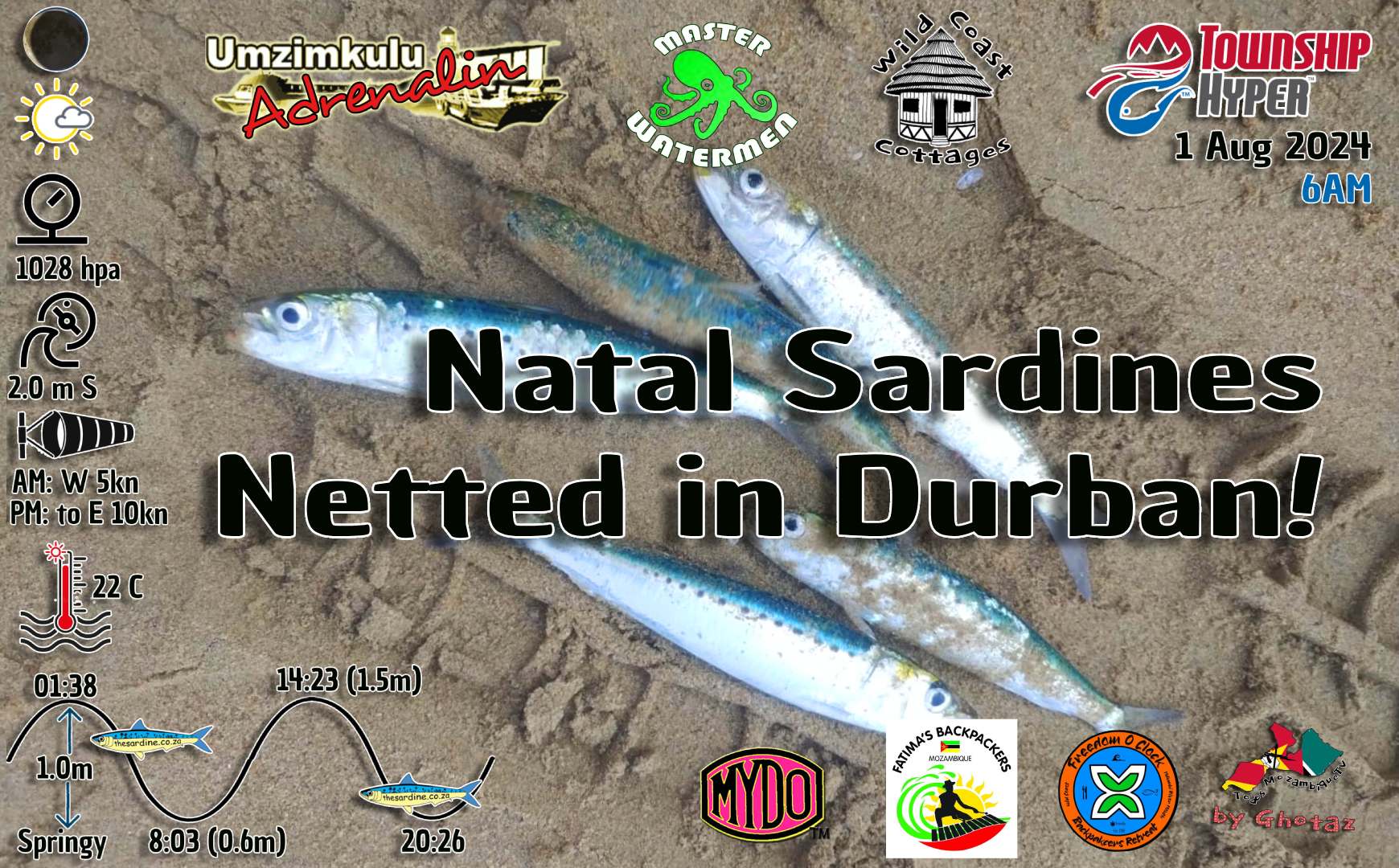 12h30 1 August Sardines Baitballs Netted Durban Beachfront