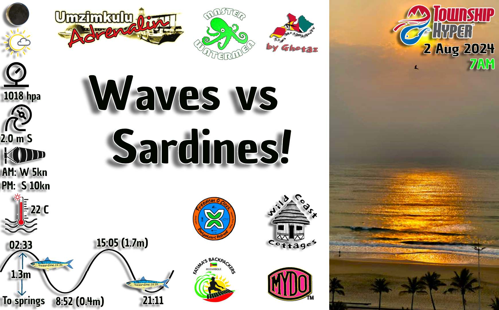 Waves vs Sardines 2 August 2024