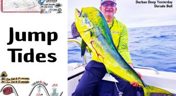 Jumping Tides this 11 December 2024
