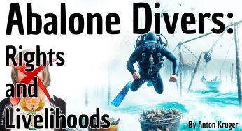 Corruption in Fisheries: The Abalone Crisis by Anton Kruger