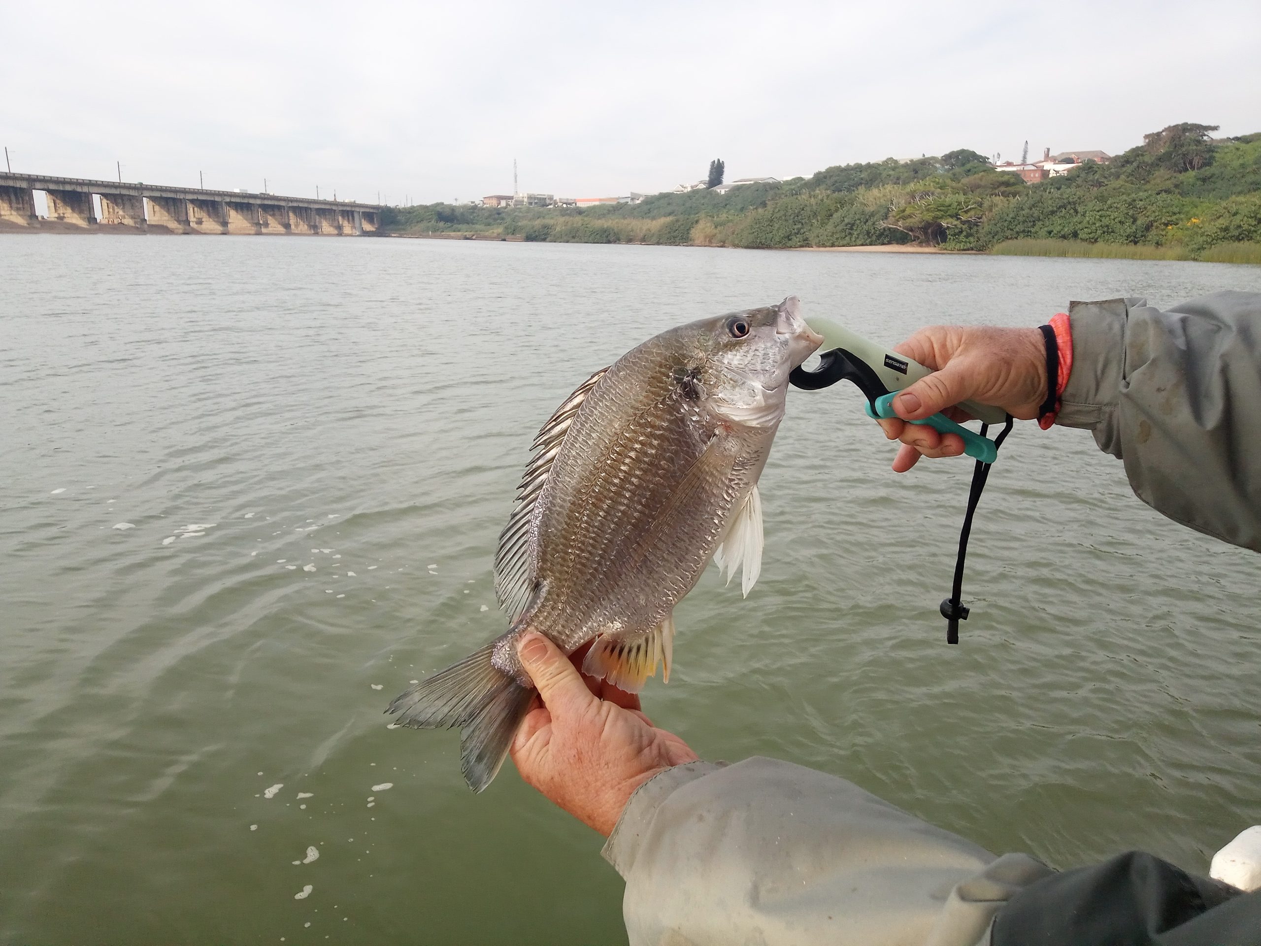 South Coast Fishing Experience - Image 12