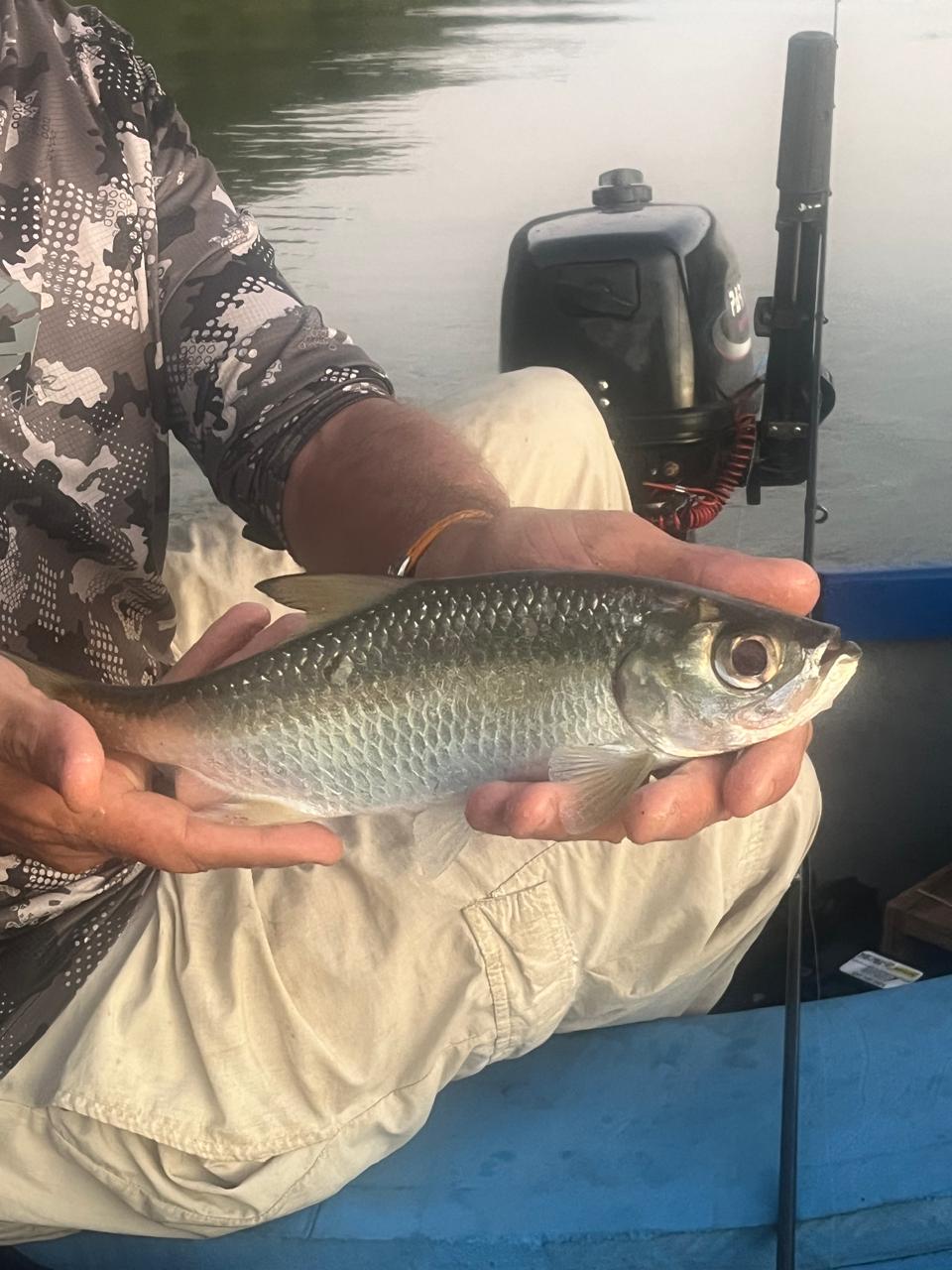 South Coast Fishing Experience - Image 11
