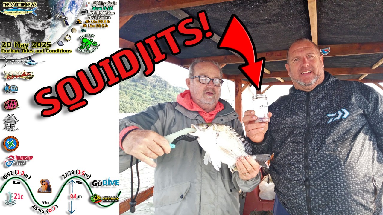 Mad Shad Down South and Squidjits