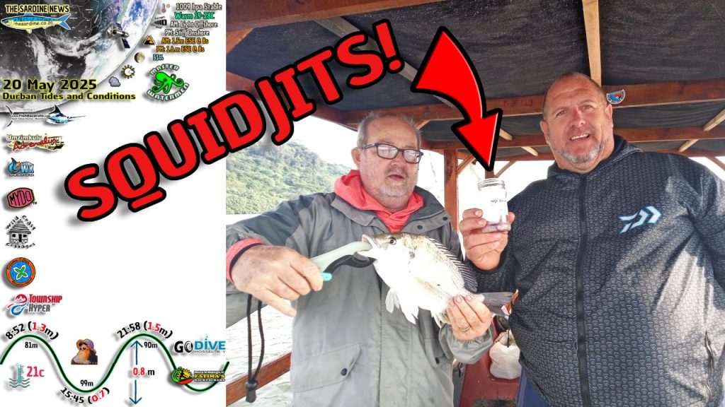 Mad Shad Down South and Squidjits