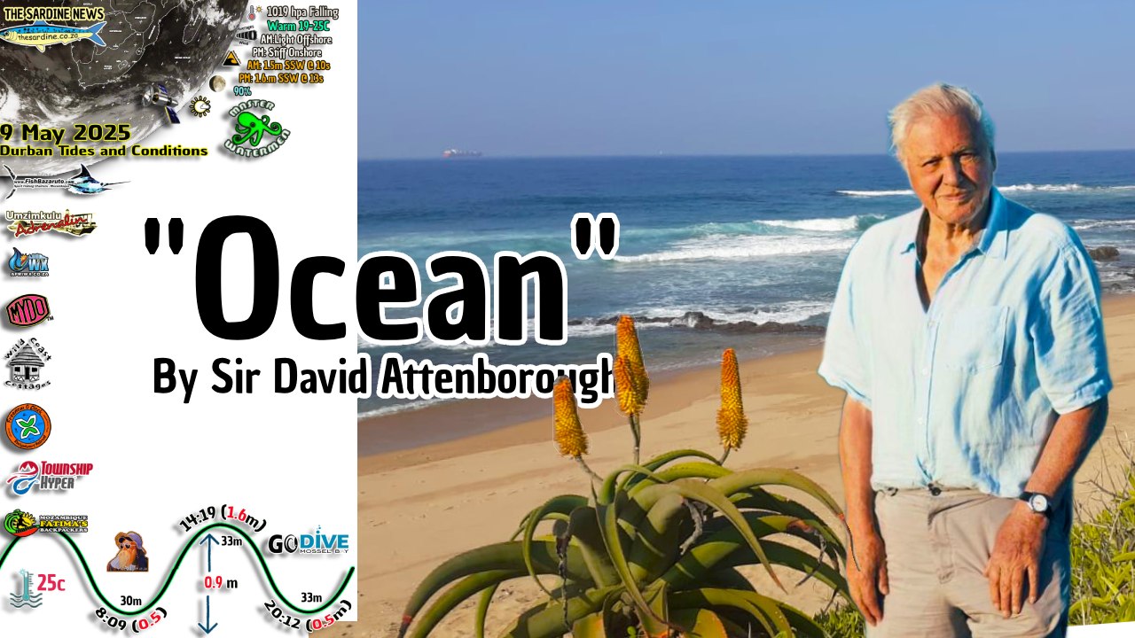 Ocean - by Sir David Attenborough