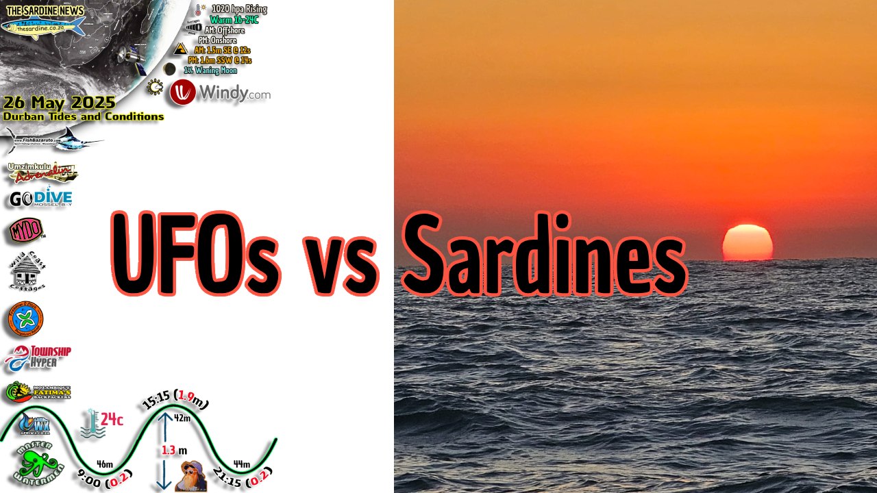 UFOs vs Sardines