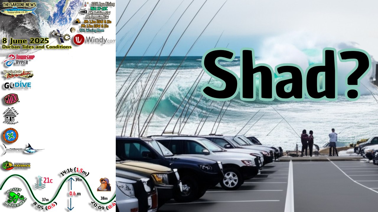No Shad Report by Alan in Port Shepstone