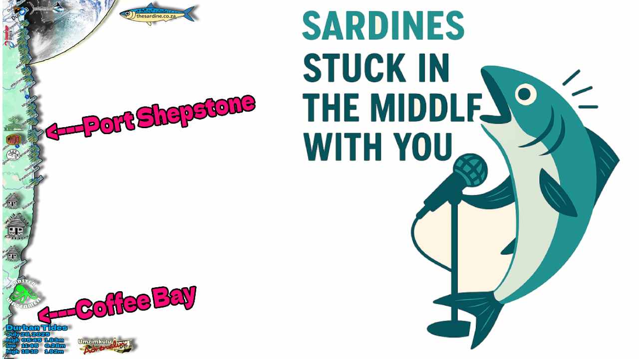 SARDINES - Stuck in the Middle With You
