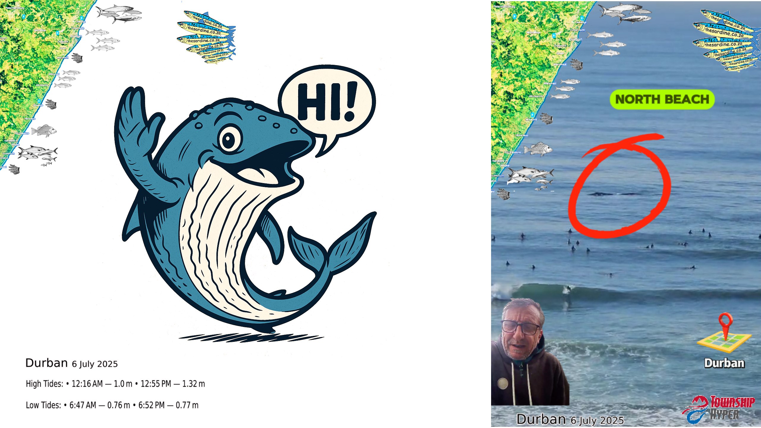Sardine Run 2025 Update July