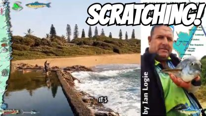 Squidgitz - Image 4