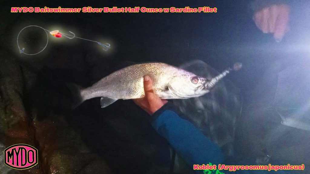 Koblet on MYDO Silver Bullet Baitswimmer w Sardine Fillet