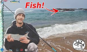 CJs Fins and Tides Gamefishing