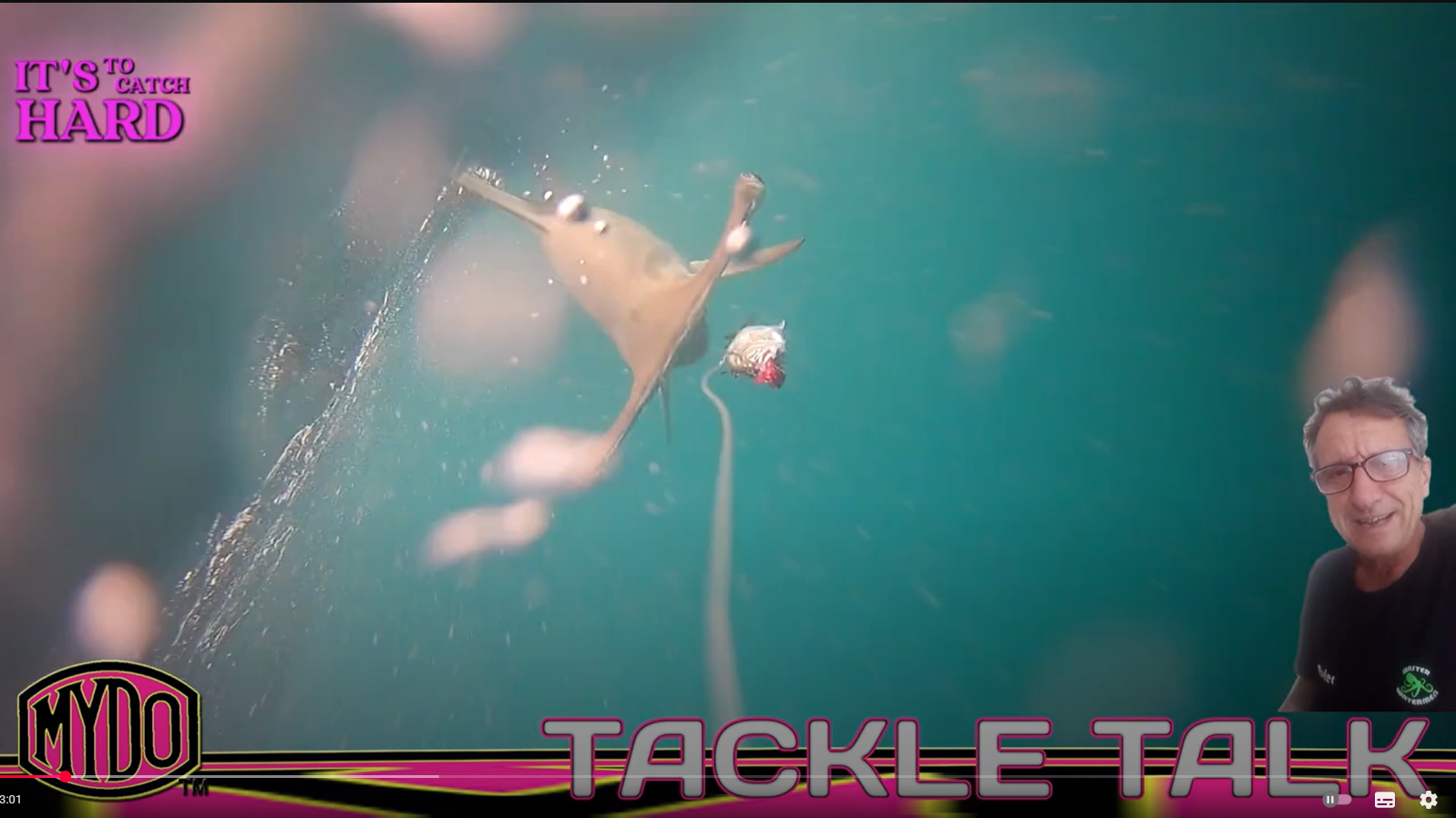 Hammerhead Shark Attacks My Shad Bait #mydo #baitswimmers #baitswimming