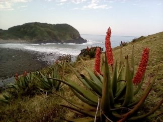 WildView Cottages in the Transkei