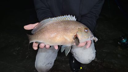 CJs Fins and Tides Estuary Gamefishing - Image 3