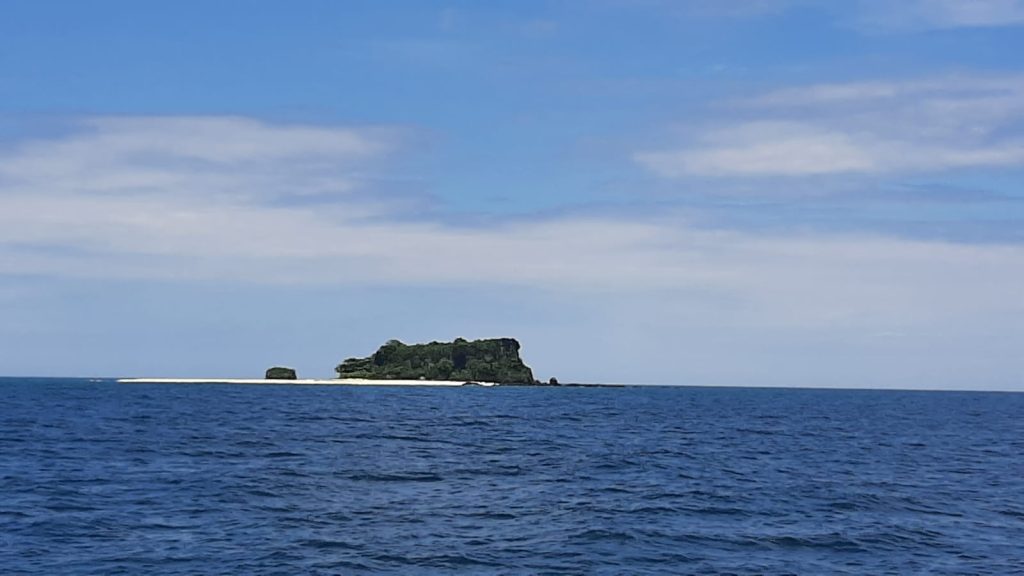 Fish Swim Here Madagaascar Nosy Be Fishing Trips