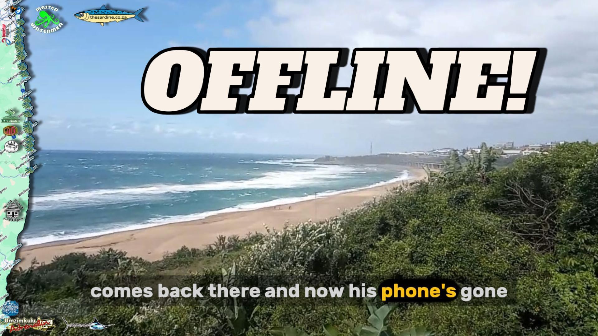 The Reason The Sardine News OFFLINE Four Days-Cover