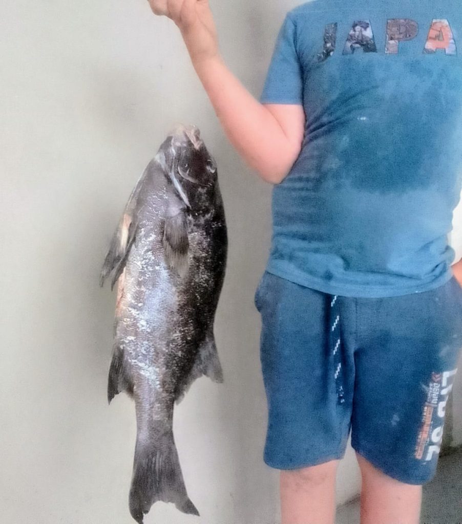 And this is what a 3.7kg Galjoen looks like!