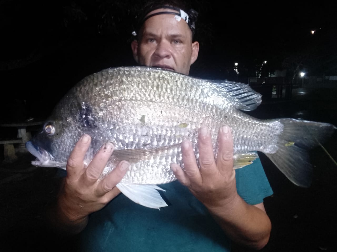 The Sardine News Variety Show 4pm 6 November 2025 #fishing #surfing #diving #ocean #weather #conditions