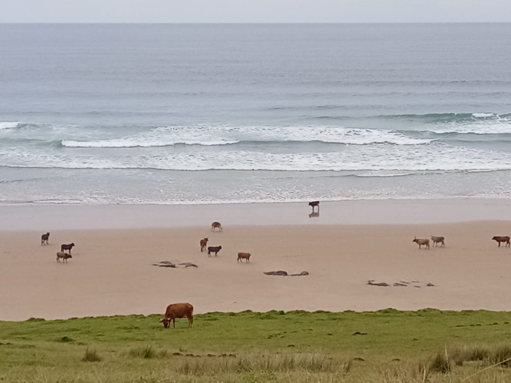 Black Rock at Hole-in-the-Wall Transkei Report by Mannie Jorreiro #eastern #cape #ocean #report