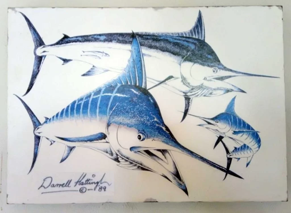 Beaten Black and Blue: Marlin identification by Captain Duarte Rato