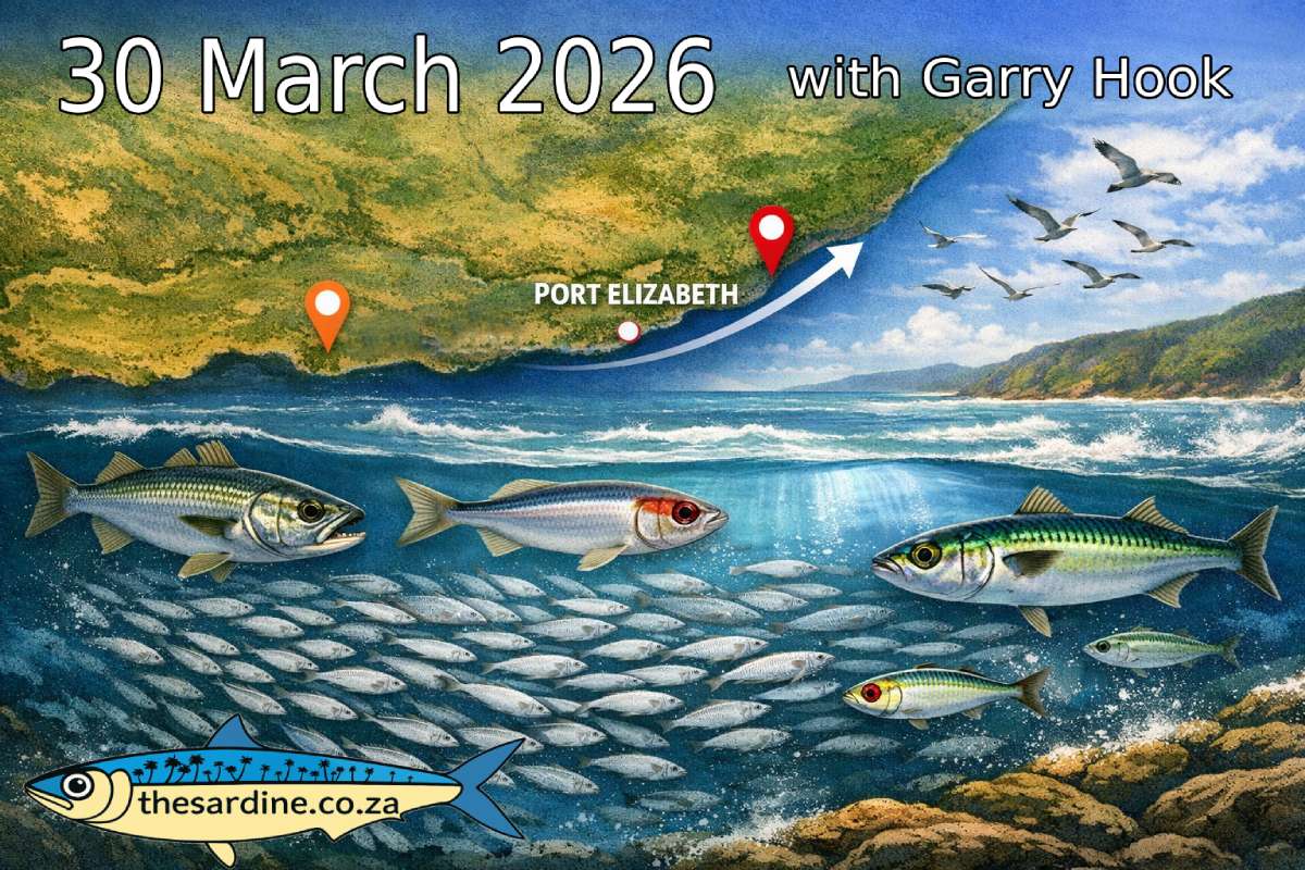 Sardine and Fishing Update with Garry Hook