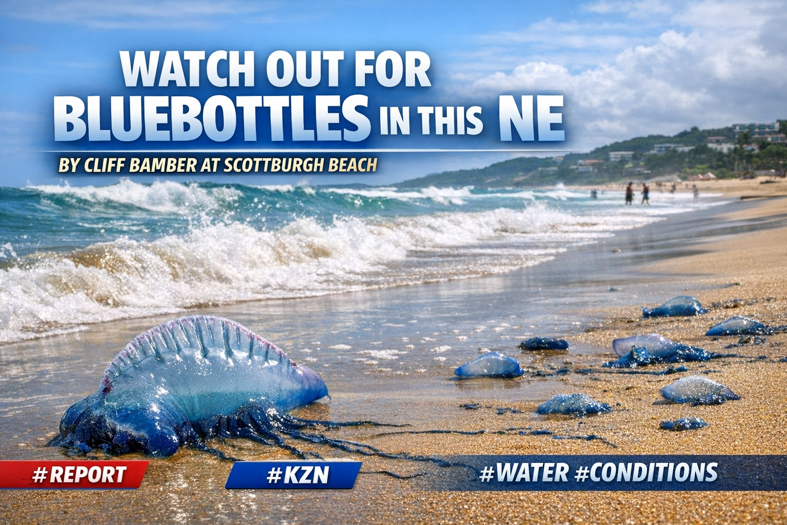 Watch out for Bluebottles in this NE by Cliff Bamber at Scottbrugh Beach #report #kzn #water #conditions
