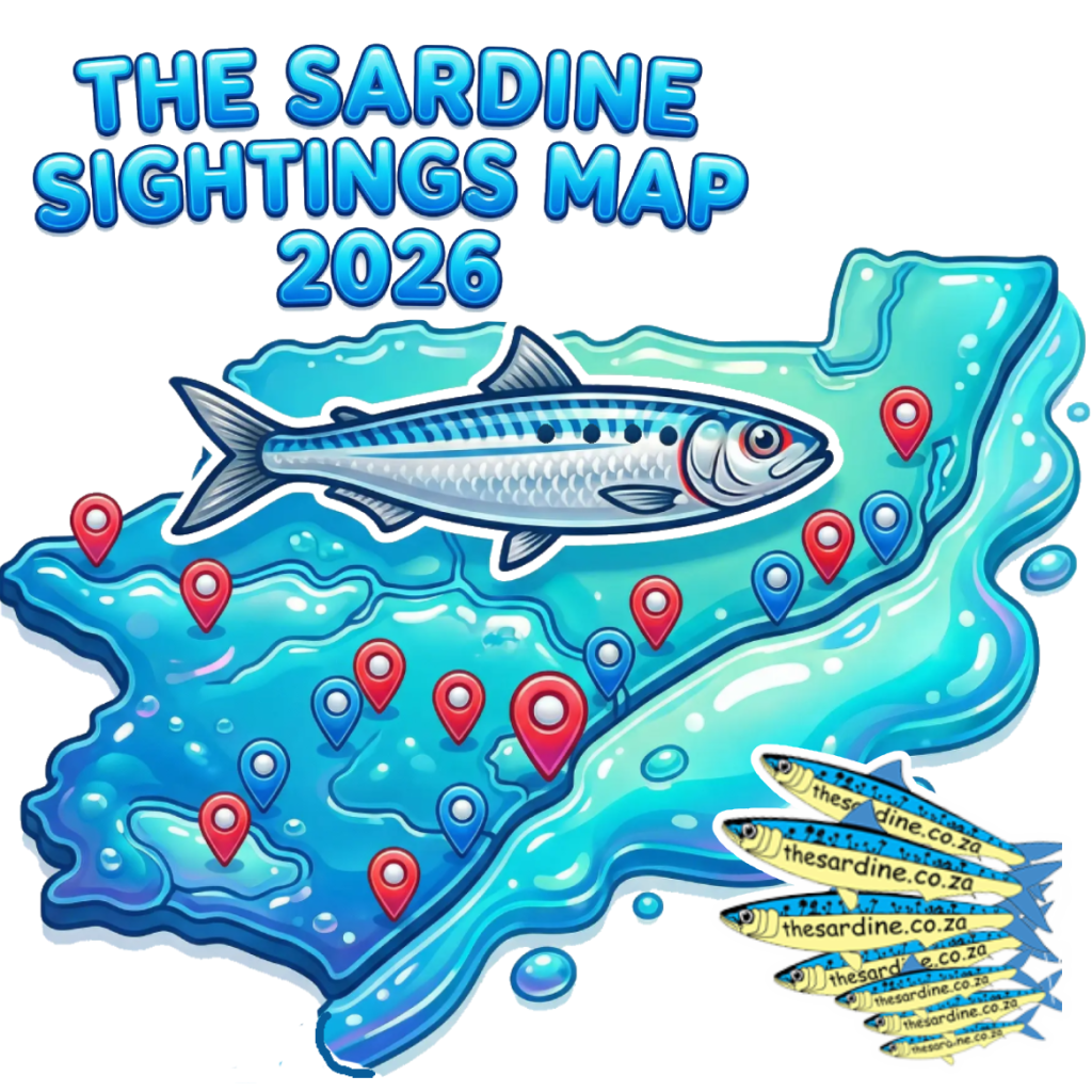 Sardine Run Sightings Map 2026