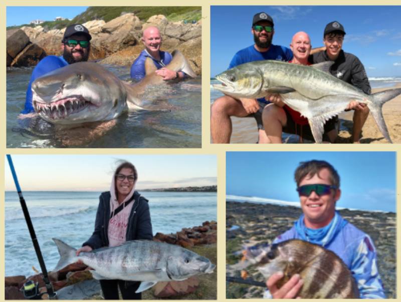 What fish do they catch in Jeffreys Bay