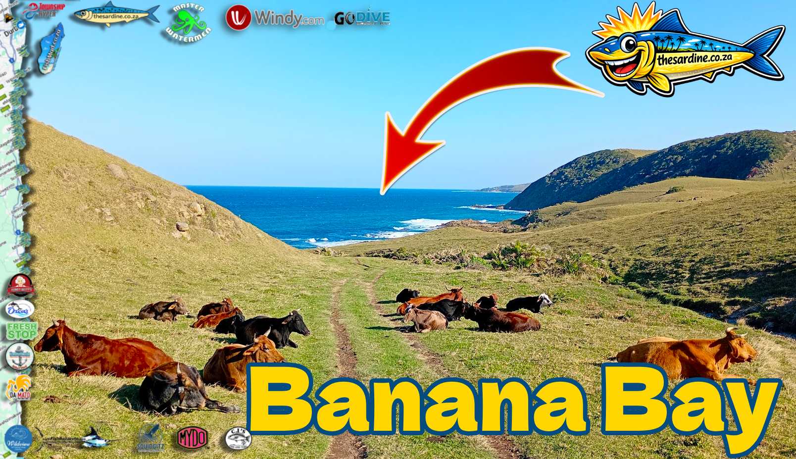 Sardine Searching – Mtakatyi River Lodge to Banana Bay